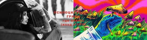 дживик Алексеевка