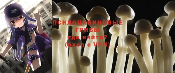дживик Алексеевка