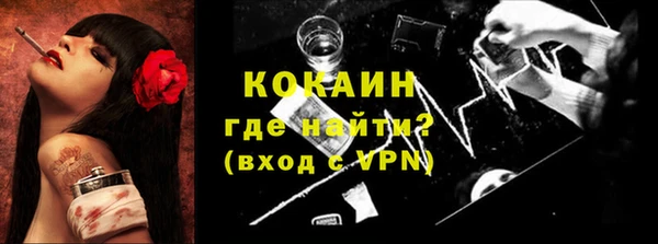 индика Переславль-Залесский