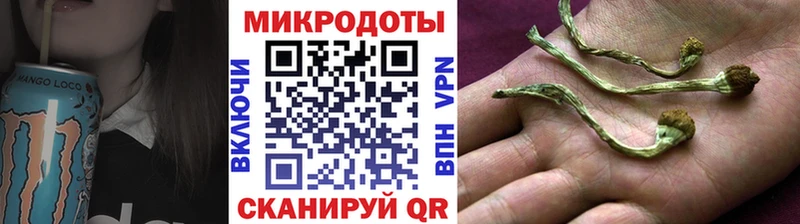 закладки  Ардатов  Галлюциногенные грибы прущие грибы 